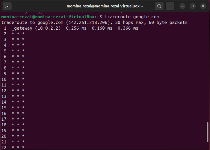 Output of traceroute command
